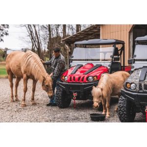 Bundwee Axis 500 4×4 UTV - Image 7