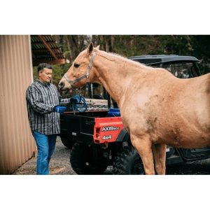 Bundwee Axis 500 4×4 UTV - Image 9