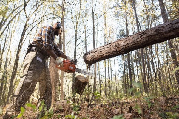 Husqvarna 460 Rancher (24") 60.3cc Chainsaw - Image 3
