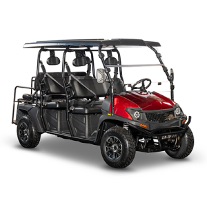 Bighorn EV8 Electric Limo Golf Cart, 6 Passenger - Image 5