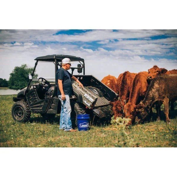 Axis 500 4×4 UTV Camo - Image 3