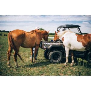 Bundwee Axis 500 4×4 UTV - Image 2