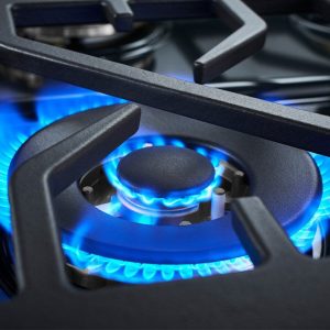 Forza FR304SE 30″ Professional Gas Range SE - Image 4