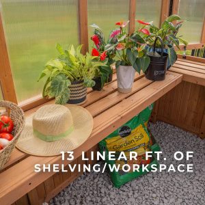 9×6 Willow Greenhouse - Image 9