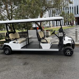 Hawk 6-Seat Accessibility Electric Vehicle